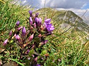 Cima Foppazzi (2097 m) e Cima Grem (2049 m) da Alpe Arera -22ag22- FOTOGALLERY